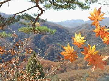 云南最新铅锌矿山转让，机遇与挑战并存